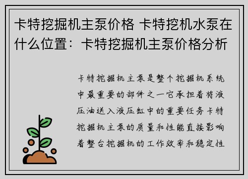 卡特挖掘机主泵价格 卡特挖机水泵在什么位置：卡特挖掘机主泵价格分析